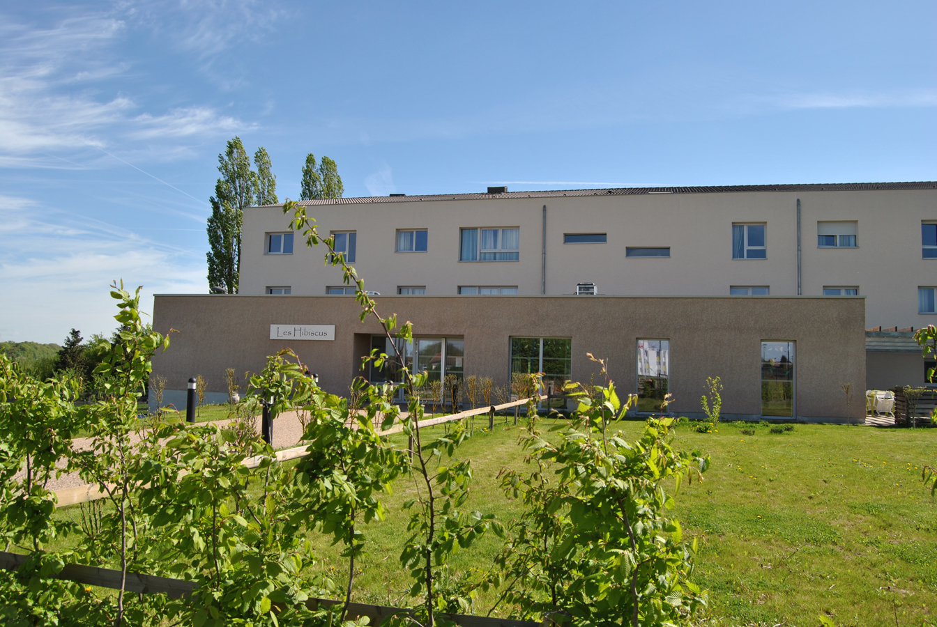 Les Hibiscus (La Roche Aux Carmes)